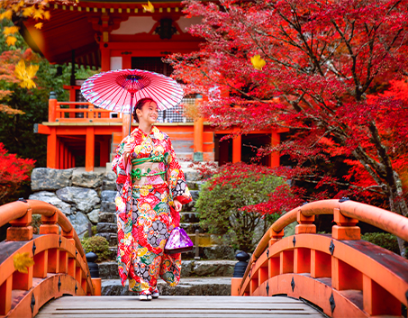 Vista Tourism & Travel A.S.